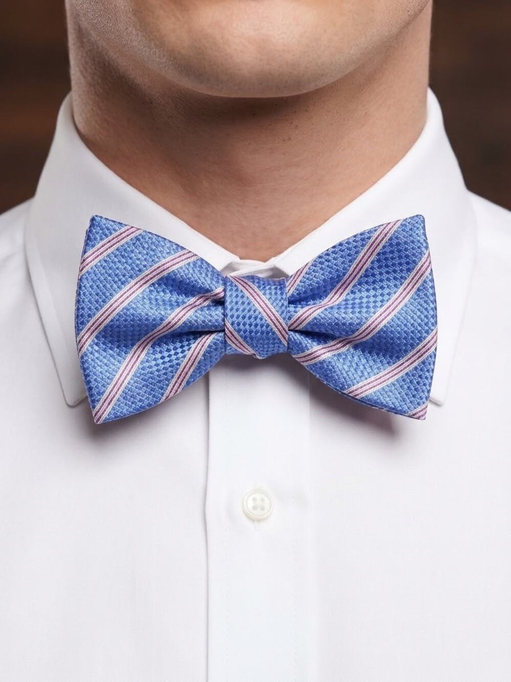 NWT Daniel Cremieux blue pink white striped silk bow tie